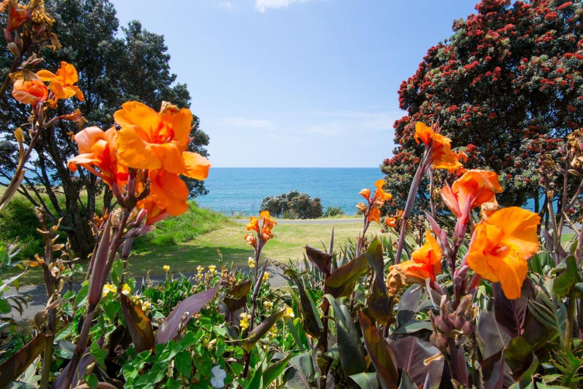Sea Breeze On Belt By Coastal Walkway Villa New Plymouth Kültér fotó